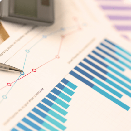 Picture of product Diamant übergreifende Funktion, Business Reporting Professional, bis 10.000 Belege / Jahr